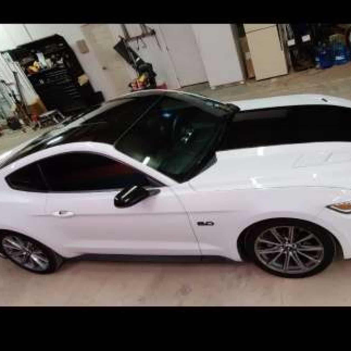 1615492203852_xpdr_wrap_page2 Vehicle Wraps